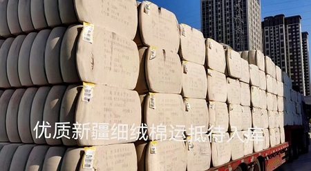 新疆细绒棉